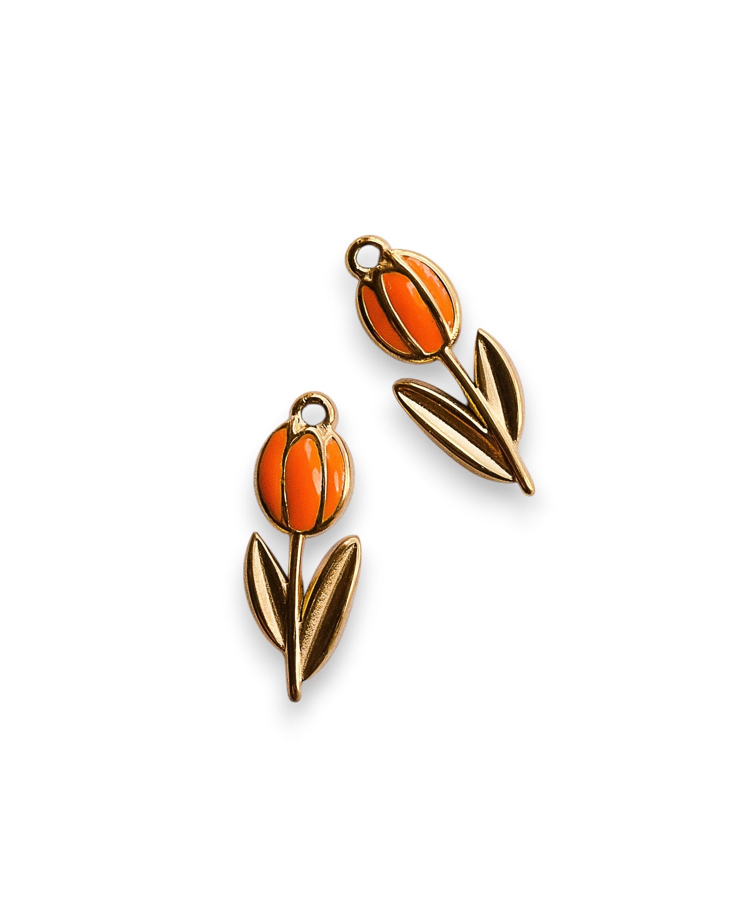 TULIPANO